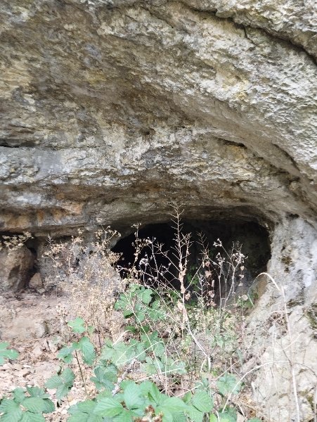 Sainte-Marie-sur-Ouche - grotte de Sainte-Marie - entrée cavité photo 2, Aurélien Bloch.jpg
Vue rapprochée.
Fichier manquant